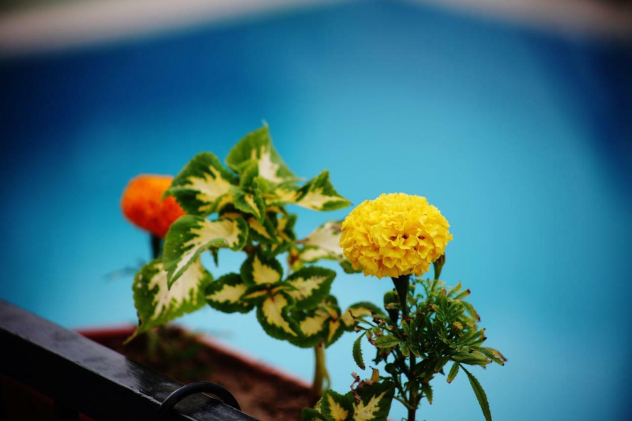 Can Otel Bodrum Exterior photo